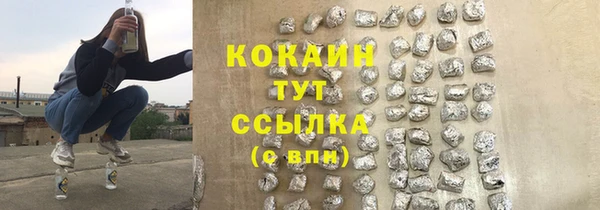 молекула духа Богородицк