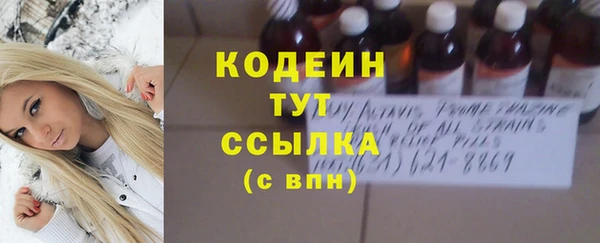 молекула духа Богородицк