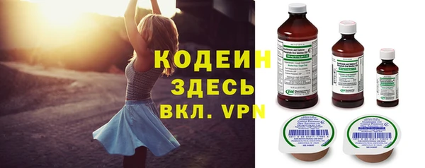 молекула духа Богородицк