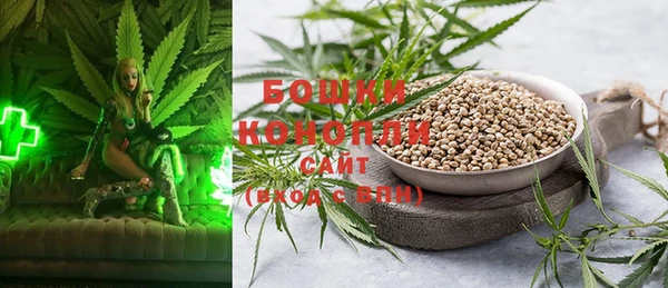 тгк Богородск