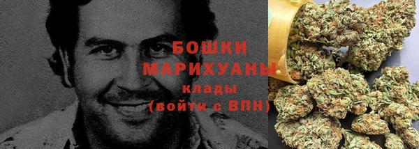 молекула духа Богородицк