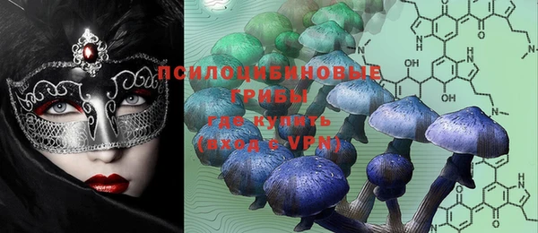 дурь Богданович