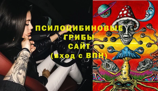 молекула духа Богородицк
