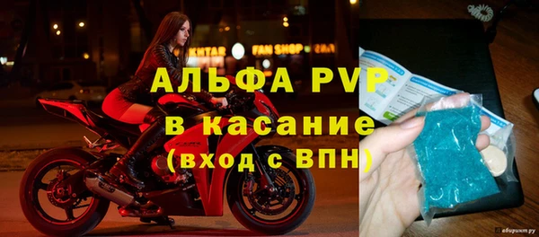 молекула духа Богородицк