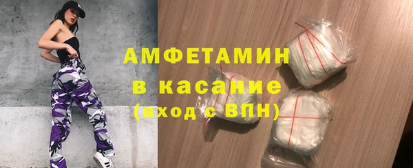 молекула духа Богородицк