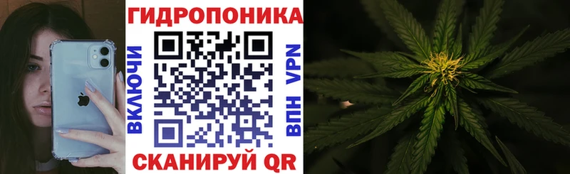 Шишки марихуана THC 21%  Купить закладки  Карабаш 